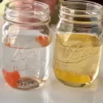 تجربة علوم الجيلي المذاب