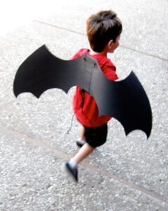 أجنحة باتمان Craft