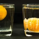 تجربة البرتقالة