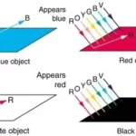 ما الذي يحدد لون الشيء؟